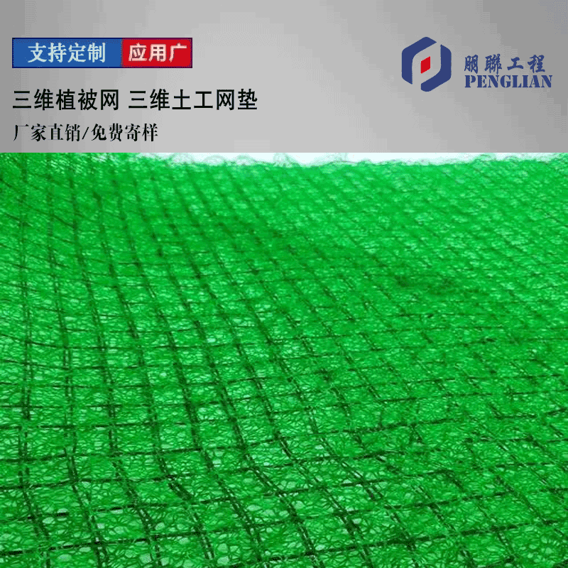 仙桃三維植被網(wǎng) 仙桃護(hù)坡土工網(wǎng)墊